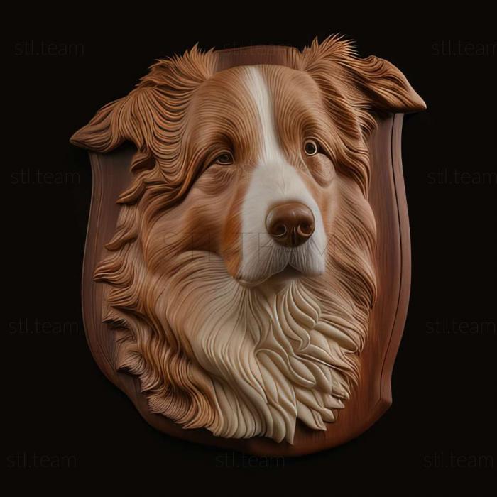 3D model English Shepherd dog (STL)